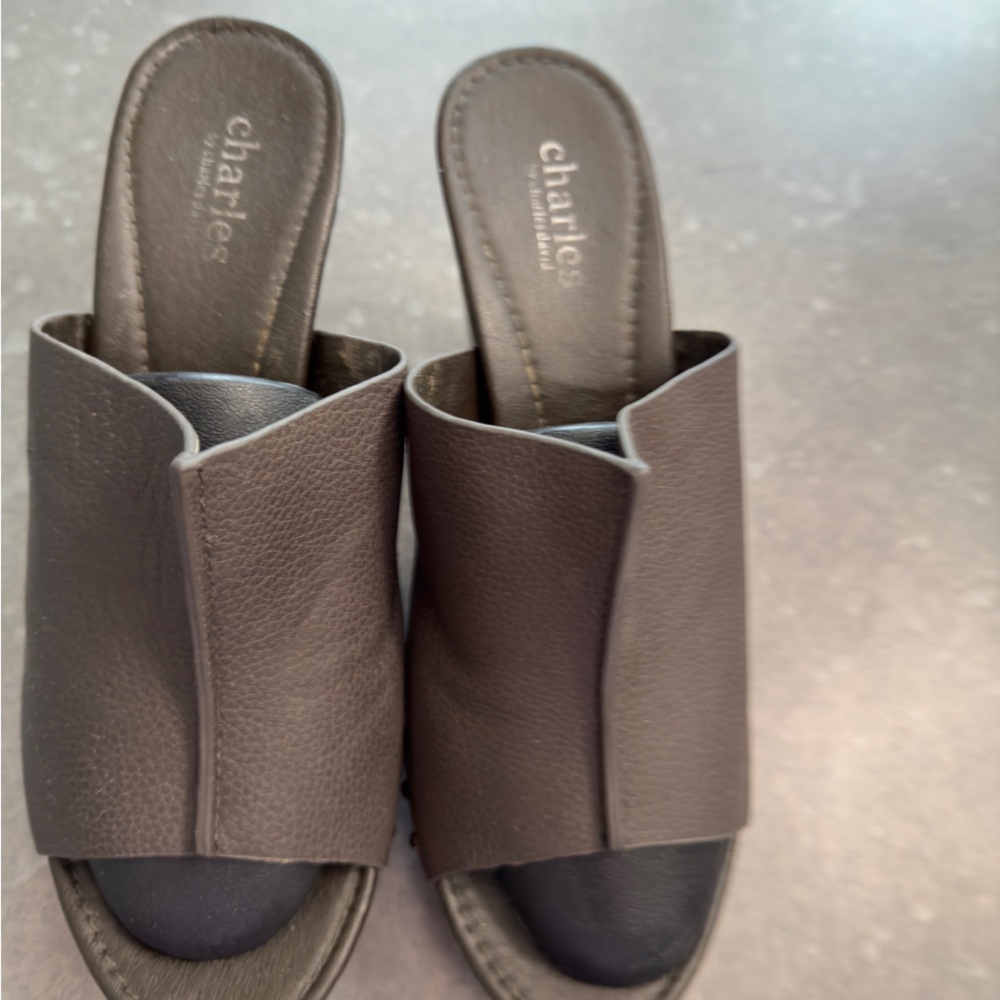 Charles David Sandal